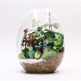 Creative Egg-Shaped Glass Bottles Succulent Glass Vase Hydroponic