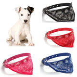 1PC small puppPy pet collar with scarf Cut Dog Cat