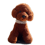 New Puppy Dog Choker Four Rows Pearls Necklace Collar Shiny Rhinestone Heart Shape Pendant Cat Collar Jewellery Pet Supplies