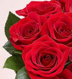 1-800-Flowers Two Dozen Red Roses with Red Vase - shopwishi 