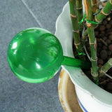 Pot Watering Bulb
