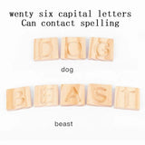 Montessori Children's Wooden Spelling Letters Practice Board