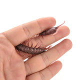 Scary Centipede Trick Toy