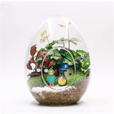 Creative Egg-Shaped Glass Bottles Succulent Glass Vase Hydroponic