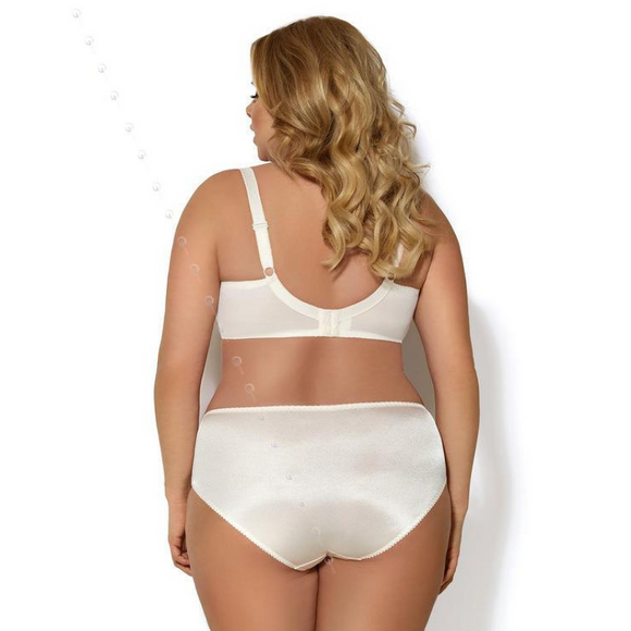 Plus Size Brief Panty Gorsenia Claire GSK354