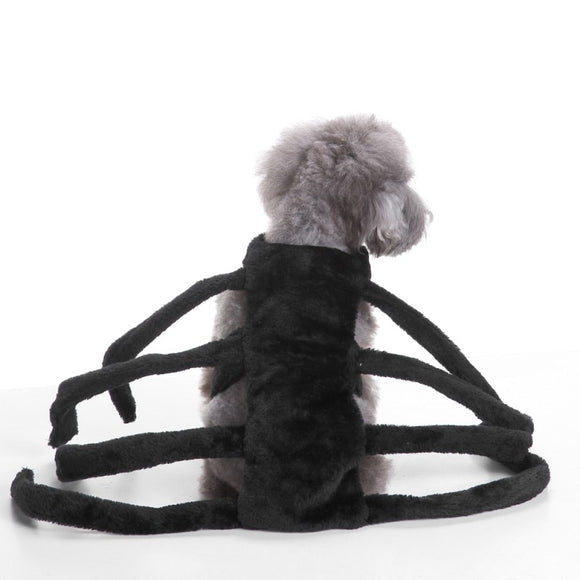 Pet Dogs Clothes Halloween Funny Spider Transfiguration Dog Cats Coats Dogs Jackets Sets Size S-L