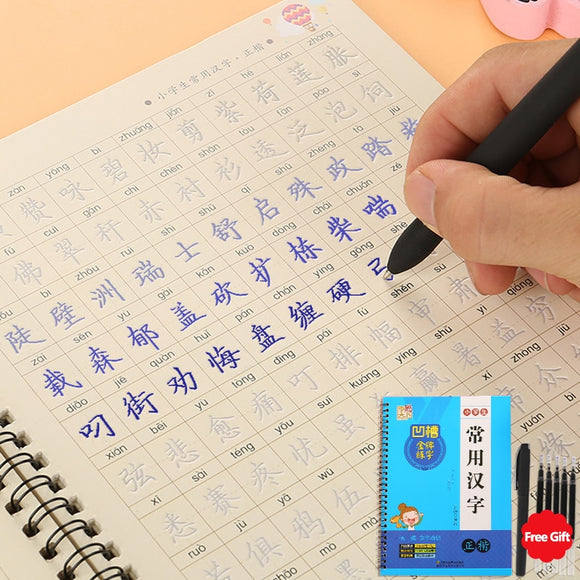 3D Reusable Groove Calligraphy copybook Erasable pen learn Chinese characters adultskids children Chinese writing books hsk