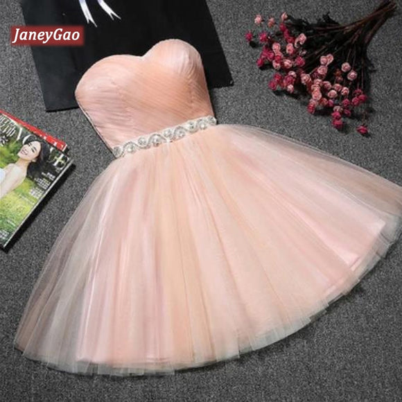 JaneyGao Prom Dresses Short For Women Formal Evening Party Gowns Blue Tulle Cute Elegant Fashion Design Dress Pink Red 9 Colors